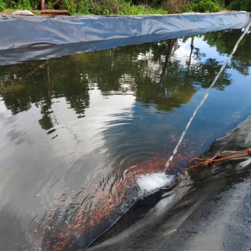 【2026】Géomembrane HDPE moderne - Farm Pond Liner avis et prix